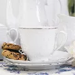 Serwis obiadowo - kawowy na 12 osób (82 el.) Ćmielów - Rococo 3605 PLATYNOWA LINIA