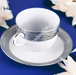 Filiżanka ze spodkiem 0,28 L / 15 cm Porcel - Argentatus GIFT BOX 10.AR.FS28