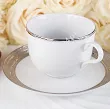 Filiżanka ze spodkiem 0,28 L / 15 cm Porcel - Argentatus Silver GIFT BOX 10.SI.FS28