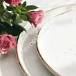 Serwis obiadowy na 12 osób (40 el.) Lubiana - Ankara Gold 1608D Natrysk